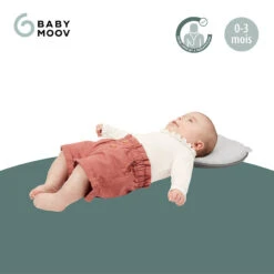 BabyMoov Cale Tête Ergonomique Lovenest Original - Smokey -Bébé Literie Magasin PCHX0R NoColor 3 X